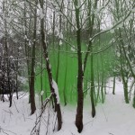 Filippo Minelli - Green Filippo Minelli - Green