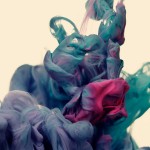Alberto Seveso 6 Alberto Seveso 6